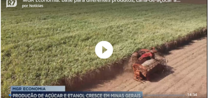 Base para diferentes produtos, cana-de-açúcar aquece mercado mineiro