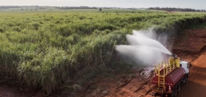 BP Bunge Bioenergia reduz 50% dos incêndios nos últimos 2 anos