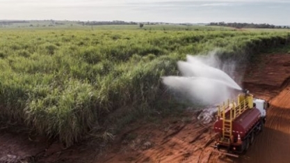 BP Bunge Bioenergia reduz 50% dos incêndios nos últimos 2 anos