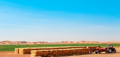 O inverno de 2023 no Brasil está previsto para ser um dos mais quentes em uma década