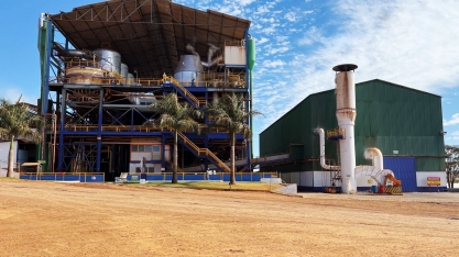 Cooper-Rubi aumenta previsão de produção de açúcar para a safra atual