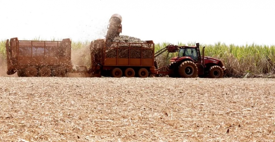 El Niño não deve trazer impactos para o resultado operacional da Tereos. Globo Rural