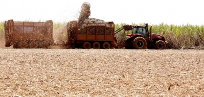 Com clima favorável, Tereos eleva estimativas de produção de cana no Brasil
