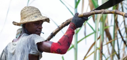 El Niño causará mais calor extremo e governos precisam se preparar, diz agência da ONU