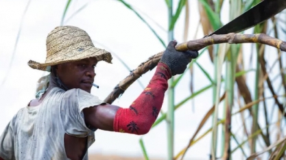 El Niño causará mais calor extremo e governos precisam se preparar, diz agência da ONU