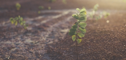 CBIO, começa o debate sobre a meta de descarbonização de 2024