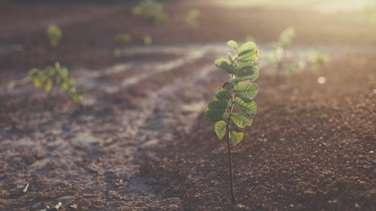 CBIO, começa o debate sobre a meta de descarbonização de 2024