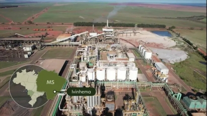 Fazendas conseguem autossuficiência energética com transformação de dejetos em biogás