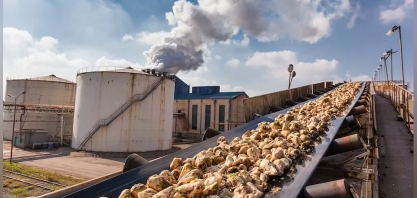 UE prevê alta de 6% na produção de açúcar em 2023/24; importação cairá
