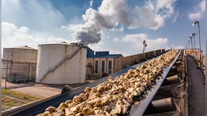 UE prevê alta de 6% na produção de açúcar em 2023/24; importação cairá