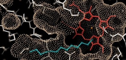 Nova enzima pode impulsionar a produção sustentável de combustível para aviação