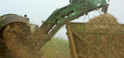 Jalles Machado espera processar 9 mi toneladas de cana na safra 26/27