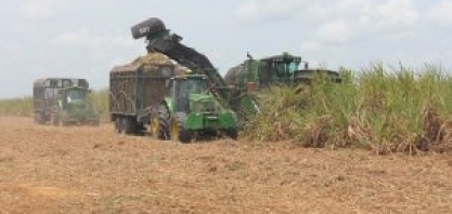 Usinas da Paraíba se preparam para nova safra