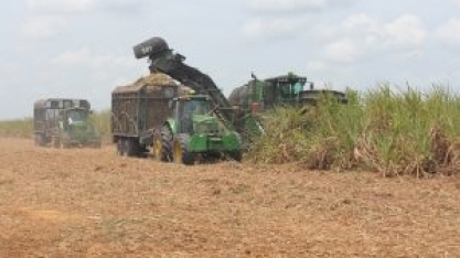 Usinas da Paraíba se preparam para nova safra