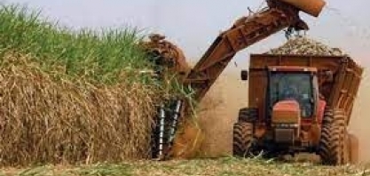 VBP em Minas Gerais deve ter queda de menos de 1%