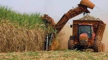 VBP em Minas Gerais deve ter queda de menos de 1%