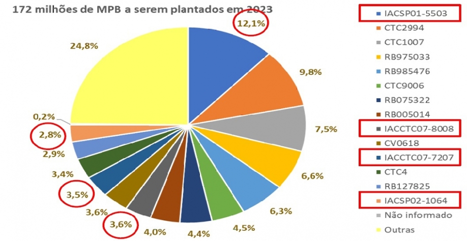  Variedades IAC respondem por 26% dos plantios em MPB deste ano. Liderança é das siglas CTC (36%) e RB (31,6%). Fonte: Centro de Cana do IAC