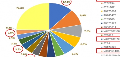 IACSP01-5503 é a variedade mais plantada no sistema de MPB em 2023