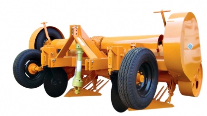 Essa é a época do ano mais adequada para o controle do Sphenophorus levis