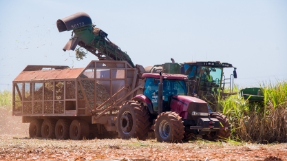Safra canavieira recorde e aumento na produção de etanol em Minas Gerais