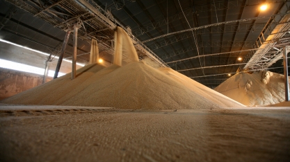 Oscilações no mercado de açúcar não são para quem tem coração fraco
