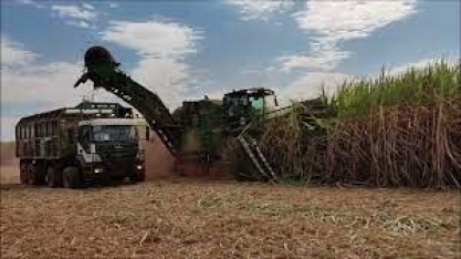 Colhedora de duas linhas colhe 1500 toneladas por dia na Bioenergética Aroeira