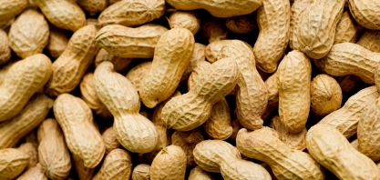 Contagem regressiva para o maior encontro da cadeia produtiva do amendoim