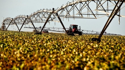 Agronegócios em São Paulo registram superávit de US$ 10 bilhões no primeiro semestre de 2023