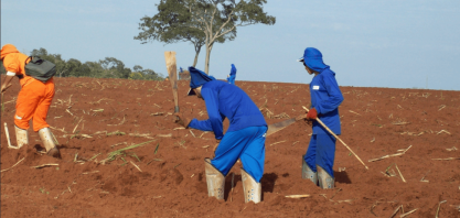 ESG: Questão social é o pilar da agenda mais considerado no agronegócio, mostra pesquisa da Mereo
