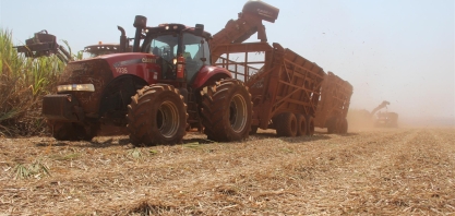 Safra 2023/24 segue com mais cana colhida na comparação com o ciclo 2022/23