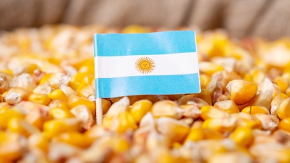 Produção de etanol de milho na Argentina registra aumento de quase 25% de janeiro a maio de 2023