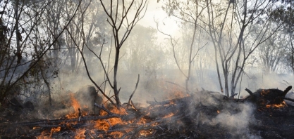 Novo sistema é capaz de prever incêndios no Cerrado em tempo praticamente real