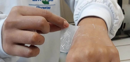 Nanocelulose: mundo tem pressa e corre atrás de suas aplicações na indústria