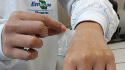 Nanocelulose: mundo tem pressa e corre atrás de suas aplicações na indústria