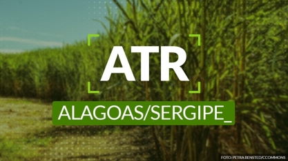 ATR Alagoas e Sergipe: valor líquido e cana padrão de julho aumentam em 12,37%