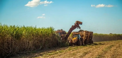 Menor oferta de açúcar da Índia reforça supremacia do Brasil no mercado mundial