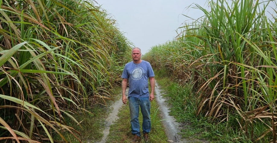 Produtor George Guido entre seus canaviais: à esquerda uma área de gotejamento; à direita, canavial de sequeiro. Foto: Arquivo pessoal