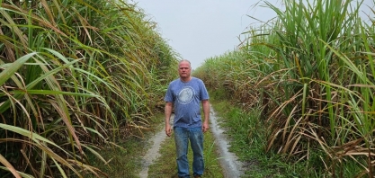 Com irrigação por gotejo, George Guido, produtor de cana em Alagoas, consegue média de 126 TCH E canaviais com 10 anos sem reforma