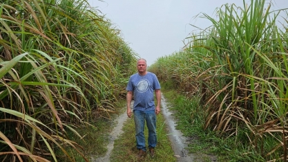 Com irrigação por gotejo, George Guido, produtor de cana em Alagoas, consegue média de 126 TCH E canaviais com 10 anos sem reforma