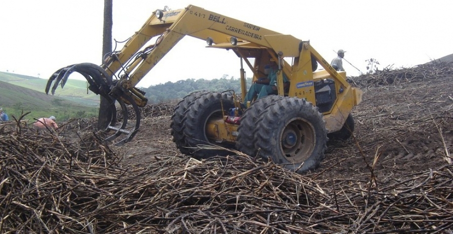 Safra 23/24 - Foto: Assessoria