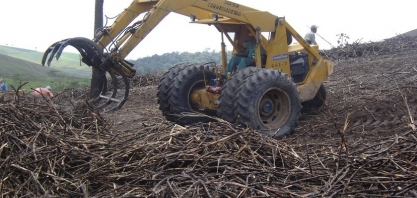 Cana: safra 23/24 é iniciada em AL