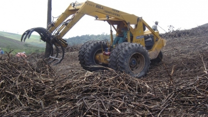 Cana: safra 23/24 é iniciada em AL