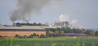 Copersucar planeja entrar no mercado de energia de biomassa
