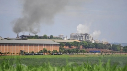 Copersucar planeja entrar no mercado de energia de biomassa