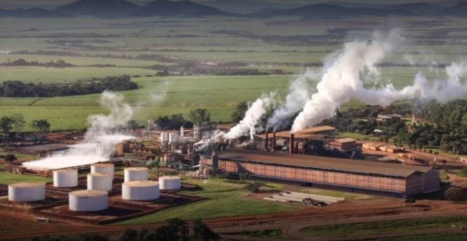 Jalles Machado (JALL3) conta com dinâmica positiva dos preços do açúcar no primeiro trimestre da nova safra. (Imagem: Reprodução/Jalles Machado)