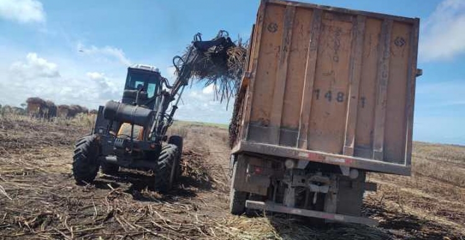 Carregamento de cana na Usina Santo Antônio - Foto: Reprodução