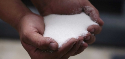 hEDGEpoint eleva previsão de produção de açúcar do centro-sul em 4,8% e vê recorde