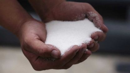 hEDGEpoint eleva previsão de produção de açúcar do centro-sul em 4,8% e vê recorde