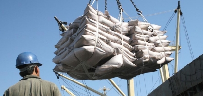 Açúcar: os elefantes não esquecem