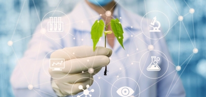 Ninho de gênios: os doutores da Embrapa no ranking global reserch.com 2023